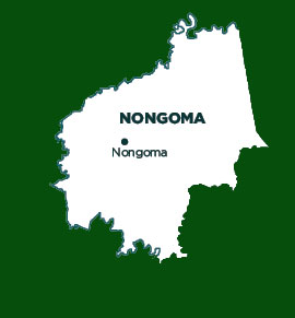 Nongoma Municipality