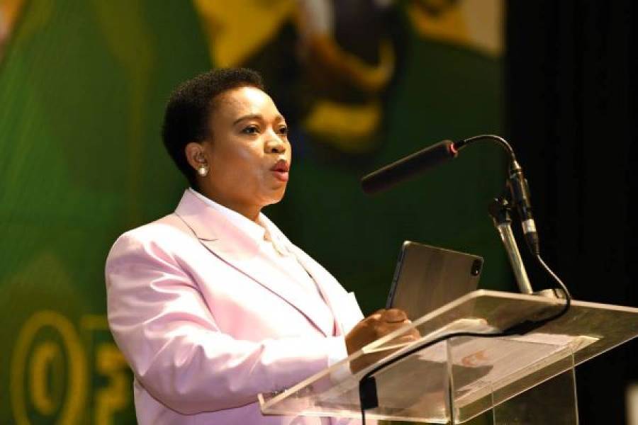 Remarks By KwaZulu-Natal Premier During The Provincial Announcement Of Matric Results