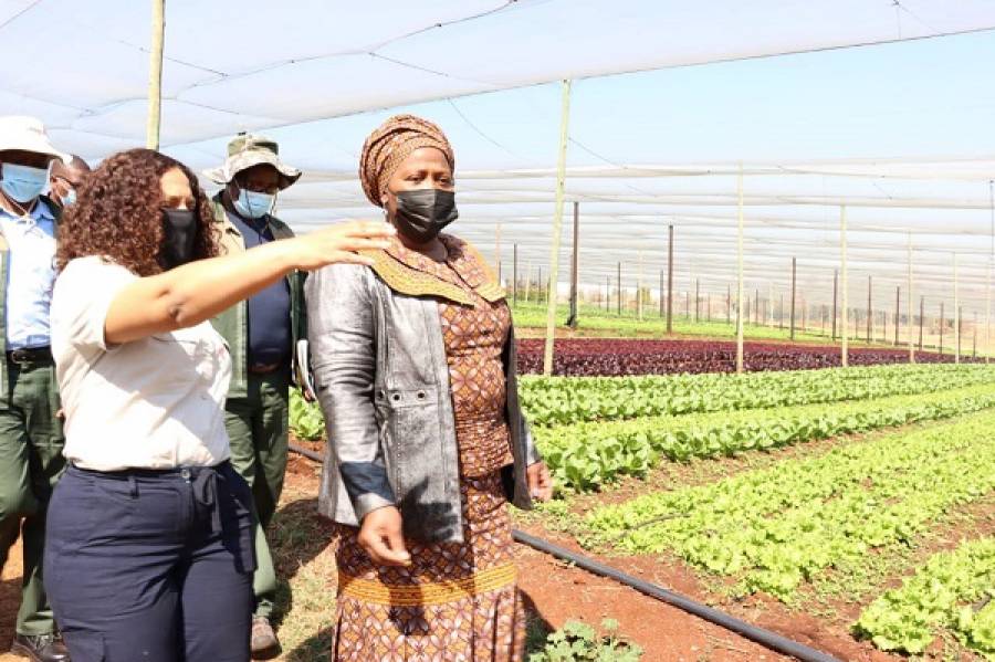MEC Mrs Bongiwe Sithole-Moloi Has Called Upon Young People To Lead The Agricultural Sector