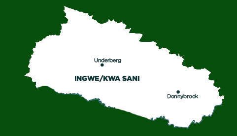 ingwe
