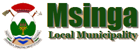 umsinga logo