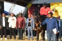 Premier Ntuli attends King Cetshwayo July Horse-racing Event