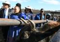UMZIMKULU WOOL GROWERS ASSOCIATIONS RECEIVE A SHOT IN THE ARM AS GOVERNMENT INJECTS FUNDING TO FAST TRACK THEIR WOOL PRODUCTION